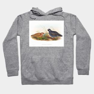 Mountain Quail Hoodie